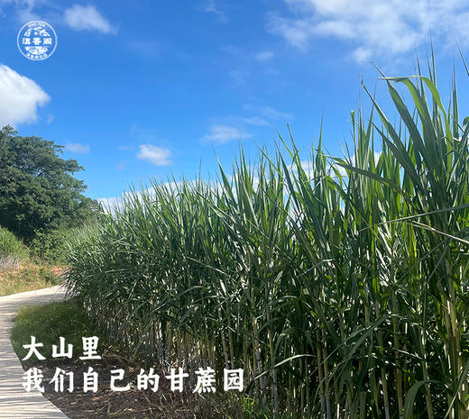 云南有机古法甘蔗黑糖红糖 糖果装 250克半斤 一包一杯 商品图11