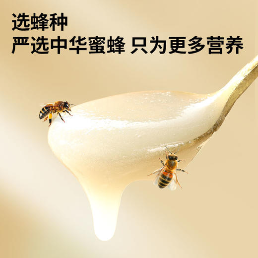 【正宗同仁堂品牌】北京同仁堂 青源堂 蜂蜜 枇杷雪蜜250克 源自黄山 细腻清香 低温结晶SY 商品图2