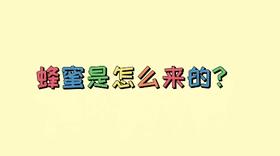 蜂蜜是怎么形成的