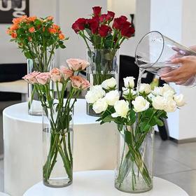 15系列亚克力直筒花瓶