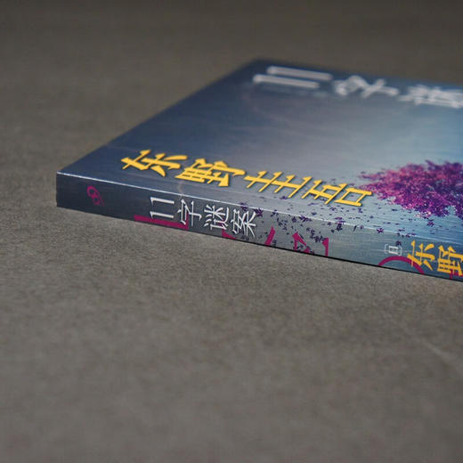 11字谜案 东野圭吾 著 小说 商品图3