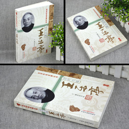 金针大师王乐亭 钮雪松 著  北京针灸名家丛书  中国中医药出版社 中医临床针灸学书籍 商品图2