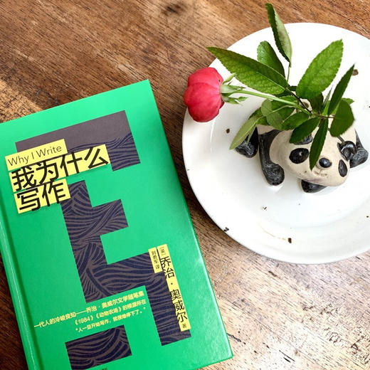 我为什么写作 乔治·奥威尔 著 文学 商品图1