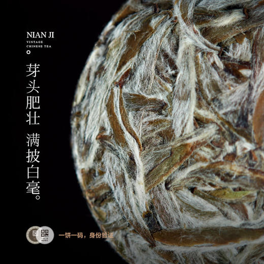 年迹—白毫银针系列！ 商品图4