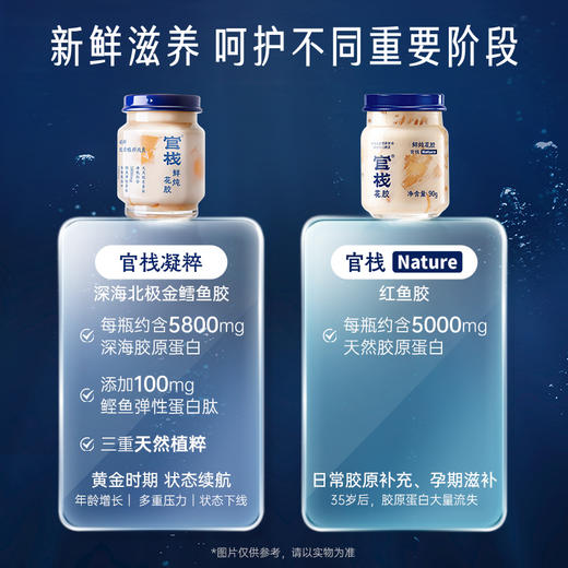 【限时特惠】月套餐| 官栈鲜炖花胶即食深海鱼胶胶原蛋白全新升级款鲜炖花胶凝粹系列（90g*16瓶） 商品图3
