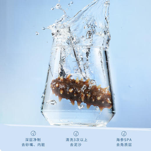 北京同仁堂（TRT）造养青年 淡干海参100g 28-42只 选自大连 含盐8%底足密实 严格控盐  肉质紧实 口感爽滑SY 商品图2
