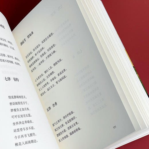 恰逢其时 洞照堂诗笺 古体近体诗作品集 斯阳著 商品图9