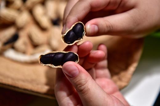 生态云南普洱小粒古种黑花生（带壳生晒）基地直邮 商品图0