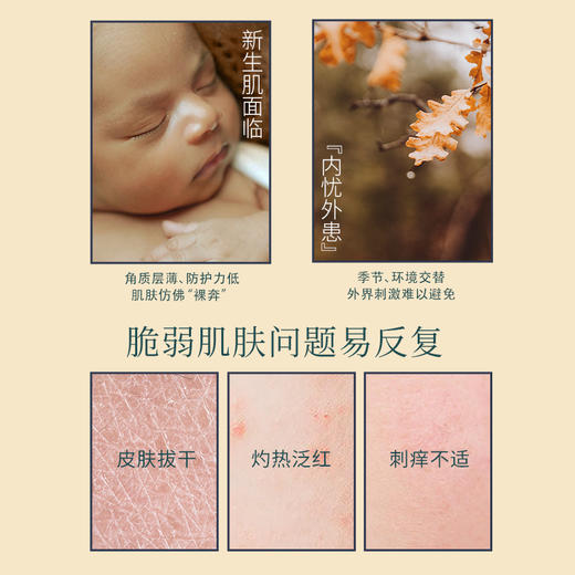 【套组】【礼盒】Evereden安唯伊胎脂系列4件套 胎脂面霜2号50ml+胎脂洗沐251ml+胎脂身体乳200ml+胎脂抚触油118ml 商品图3