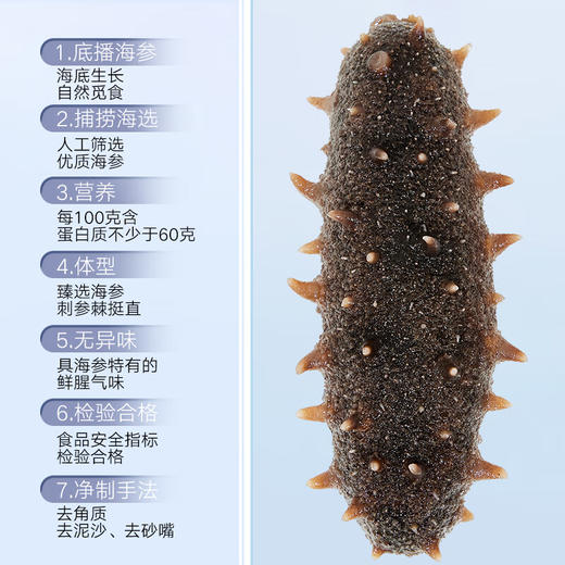 北京同仁堂（TRT）造养青年 淡干海参100g 28-42只 选自大连 含盐8%底足密实 严格控盐  肉质紧实 口感爽滑SY 商品图6