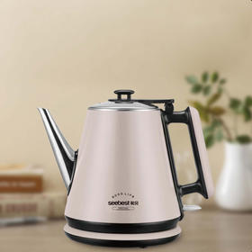 SK8A10电热水壶