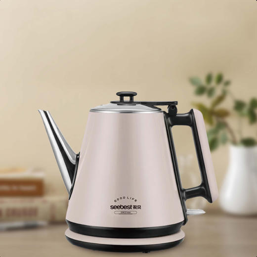 SK8A10电热水壶 商品图0