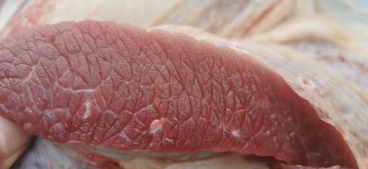 散养黄牛肉｜陕西子午岭顺丰冷运｜每周五截单｜周日发出 商品图2