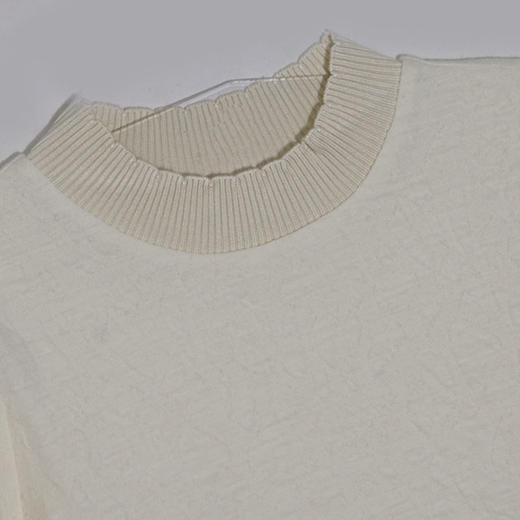 VIVIAN LIU薇薇安刘R2367301冬女装新款罗纹圆领提花针织打底衫 商品图3