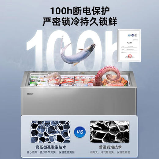 海尔冰柜369升商用大容量节能家用冷柜冷藏冷冻柜转换超低温深冷速冻BC/BD-369GHPT 商品图5
