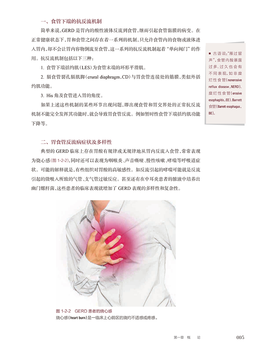 35206(yz) (5).jpg