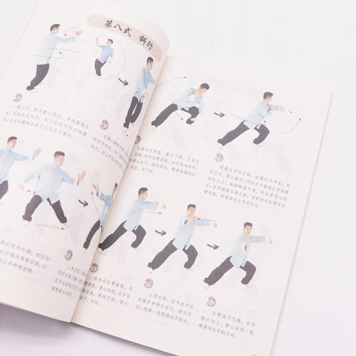 图解陈氏太极拳老架一路74式 精编视频学习版 商品图2