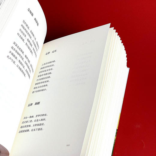 恰逢其时 洞照堂诗笺 古体近体诗作品集 斯阳著 商品图10