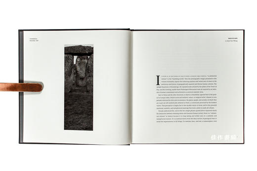 Stone: A Substantial Witness / 石头：一个重要的见证者 商品图2