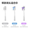 Laifen徕芬 ·新一代扫振电动牙刷 原装刷头【透明款】 商品缩略图5