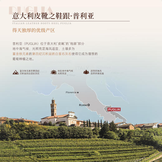 【普利亚产区的精品之作】意大利米多克风干红葡萄酒 意大利进口 16.5%vol 商品图8