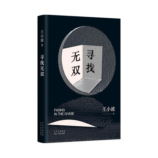 寻找无双 王小波 著 小说 商品图3