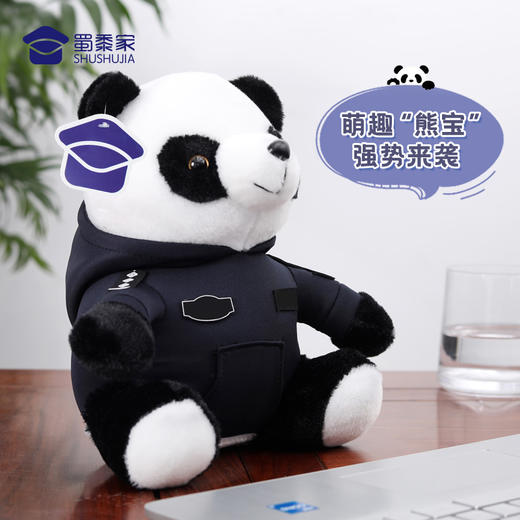 【熊宝（可定制）】可脱卸卫衣毛绒玩偶 儿童公仔布娃娃可定制礼品玩具摆件 商品图0