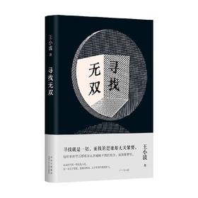 寻找无双 王小波 著 小说