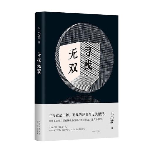 寻找无双 王小波 著 小说 商品图0