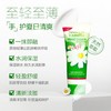 德国小甘菊清爽护手霜20ml 商品缩略图0