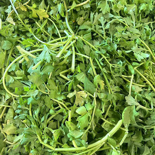 영채 한근 樱菜  500g 商品图0