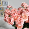 多头朱丽叶塔玫瑰丨A级花材 10支 商品缩略图1
