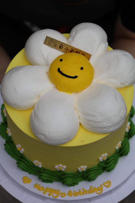 太阳花 商品图3