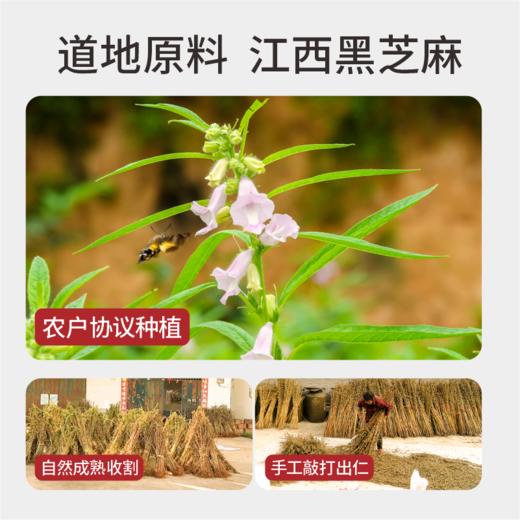 核桃芝麻丸（麦芽糖版）600g【300g*2瓶】 商品图3