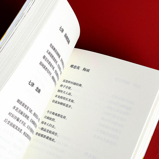 恰逢其时 洞照堂诗笺 古体近体诗作品集 斯阳著 商品图8