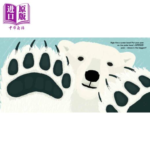 【中商原版】Sophy Henn Lifesize 动物的真实尺寸 猜猜我有多大英文原版 进口图书 儿童绘本 动物知识 科普图画书 商品图2