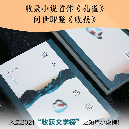 最小的海 叶昕昀 著 小说 商品图4
