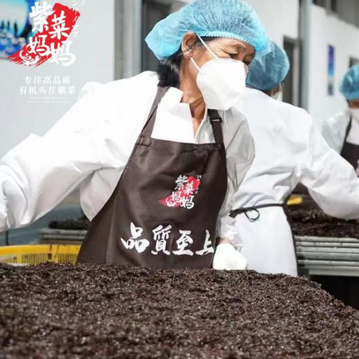 【专注高品质】紫菜妈妈.机头茬紫菜 2025季 新鲜上市 商品图5