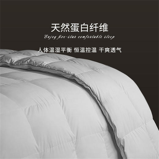 康尔馨优享时光被芯【95%鹅绒复合被】五星级酒店95白鹅绒yi菌保暖纤维单人被芯 商品图1