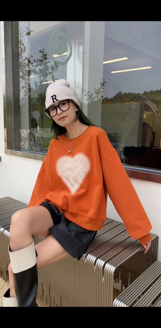 D6025        欧版气质休闲减龄字母刺绣加绒套头卫衣（特价不退换） 商品图1