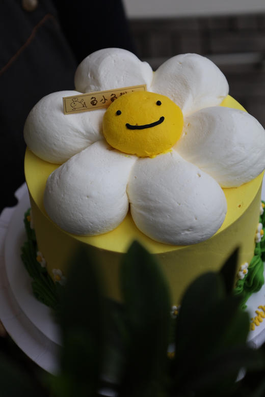 太阳花 商品图1