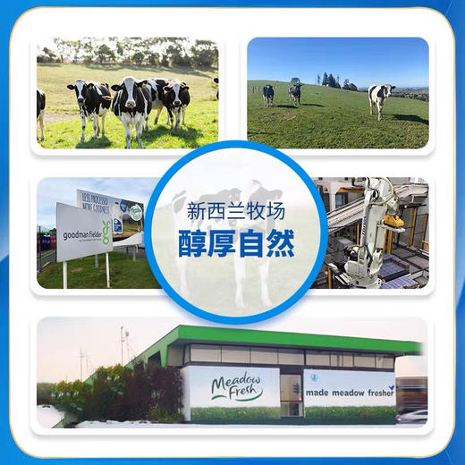 纽麦福牛奶250ml*6 商品图4