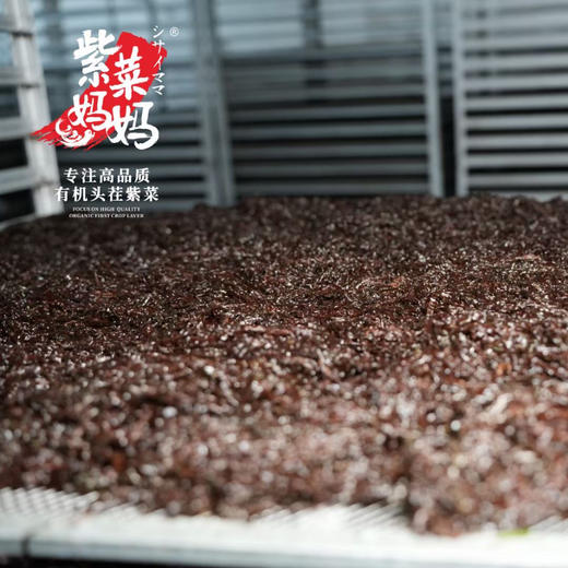 【专注高品质】紫菜妈妈.机头茬紫菜 2025季 新鲜上市 商品图4