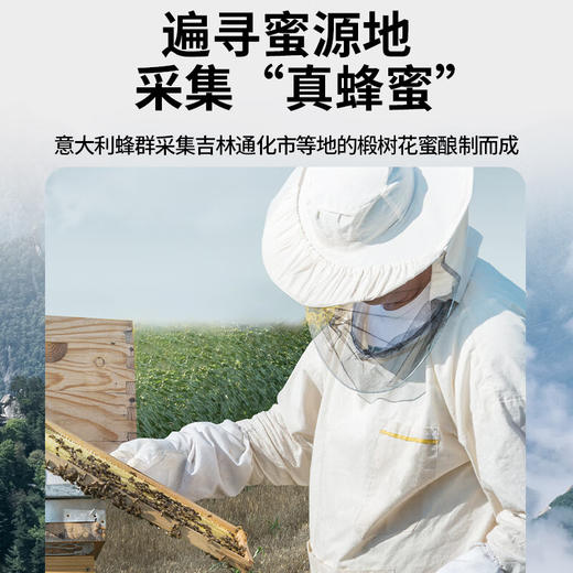 【正宗同仁堂品牌】北京同仁堂 椴树蜂蜜800克 漏斗型瓶装 原料纯粹 拒绝添加 便携易使用SY 商品图2