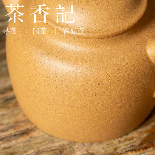 茶香记 润砂堂 金黄团泥重炮手紫砂壶 具轮珠 壶型经典 颗粒感强 商品图2