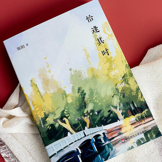 恰逢其时 洞照堂诗笺 古体近体诗作品集 斯阳著 商品图4