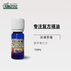 雅琪朵：专注复方精油 10ml 商品缩略图0