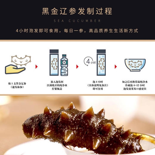 北京同仁堂（TRT） 总统牌 大连速发海参黑金辽刺参淡干100g 30只礼盒推荐SY 商品图2