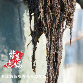 【专注高品质】紫菜妈妈.机头茬紫菜 2025季 新鲜上市