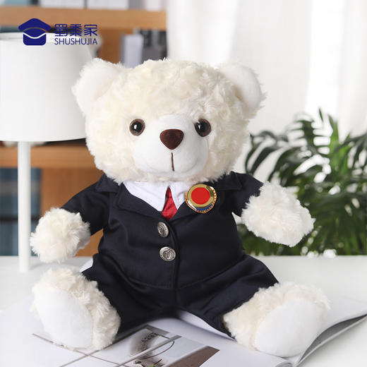 【检察官熊】儿童毛绒公仔玩具不易掉毛小熊玩偶衣服可脱卸布娃娃摆件 商品图3